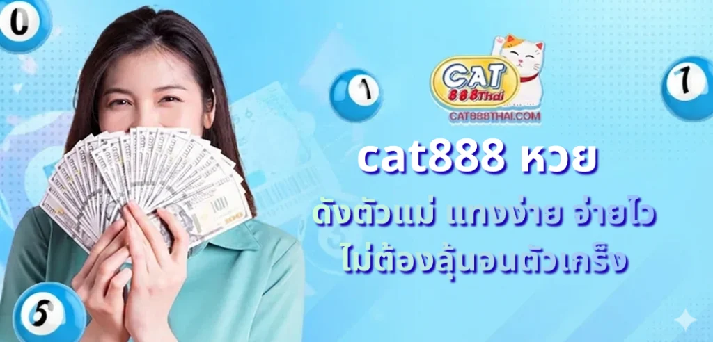 cat888