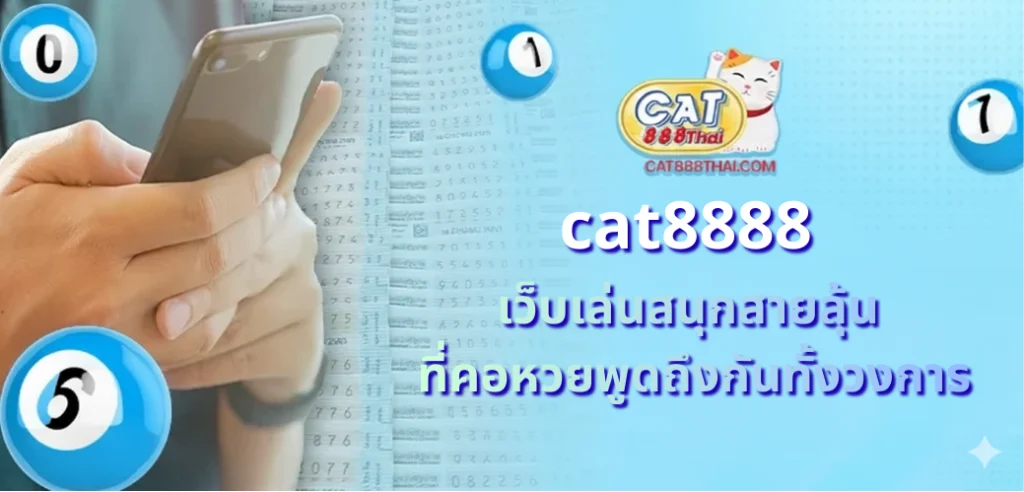 cat8888